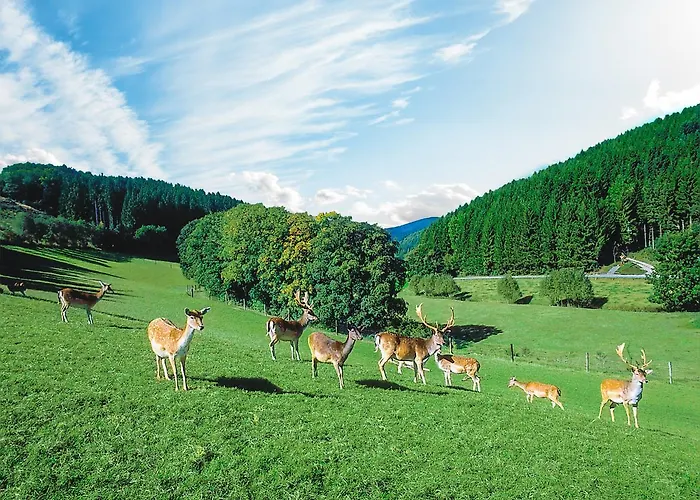 Klaukenhof 3* Lennestadt